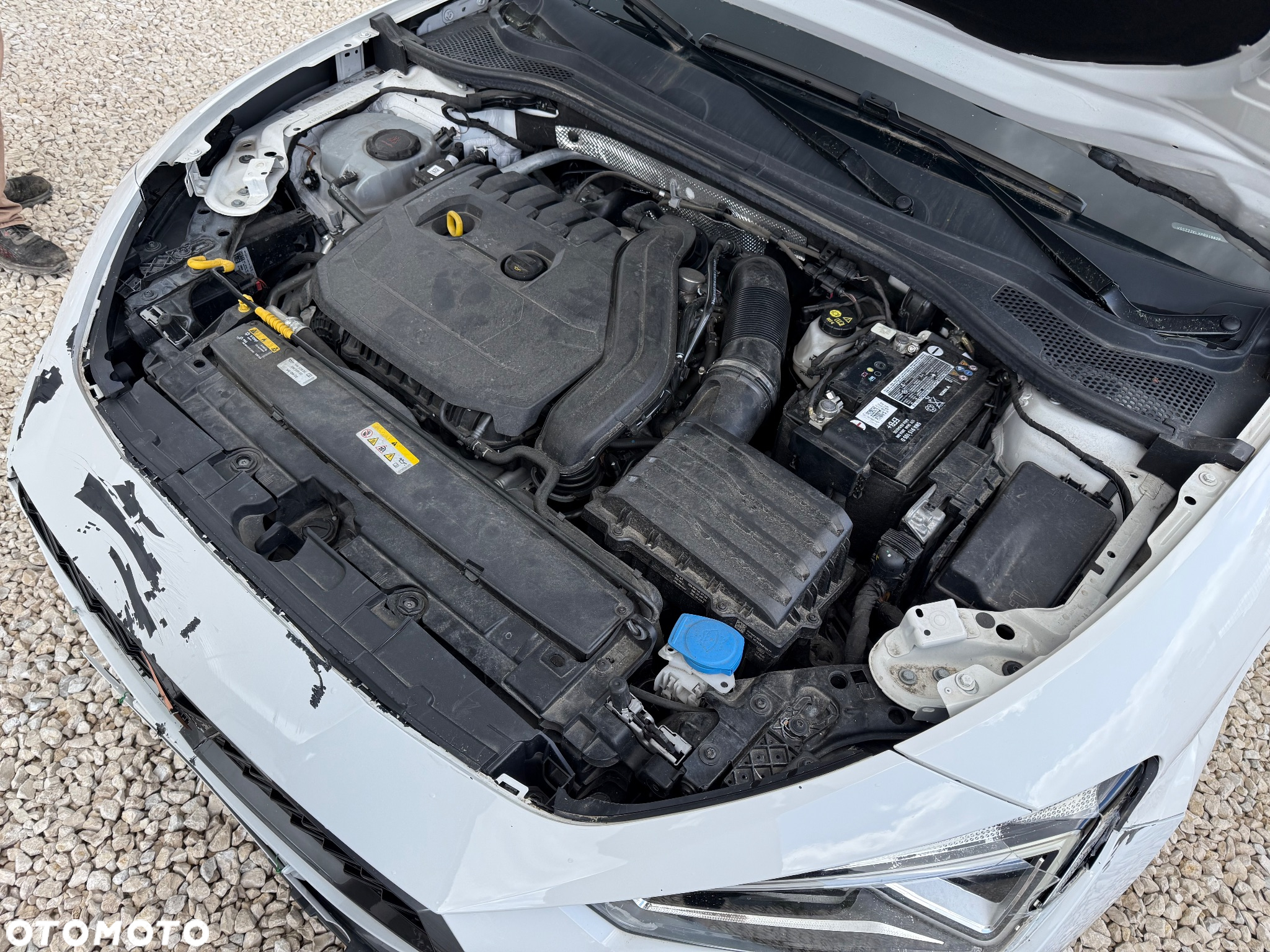 Cupra Leon 1.5 eTSI mHEV DSG - 22