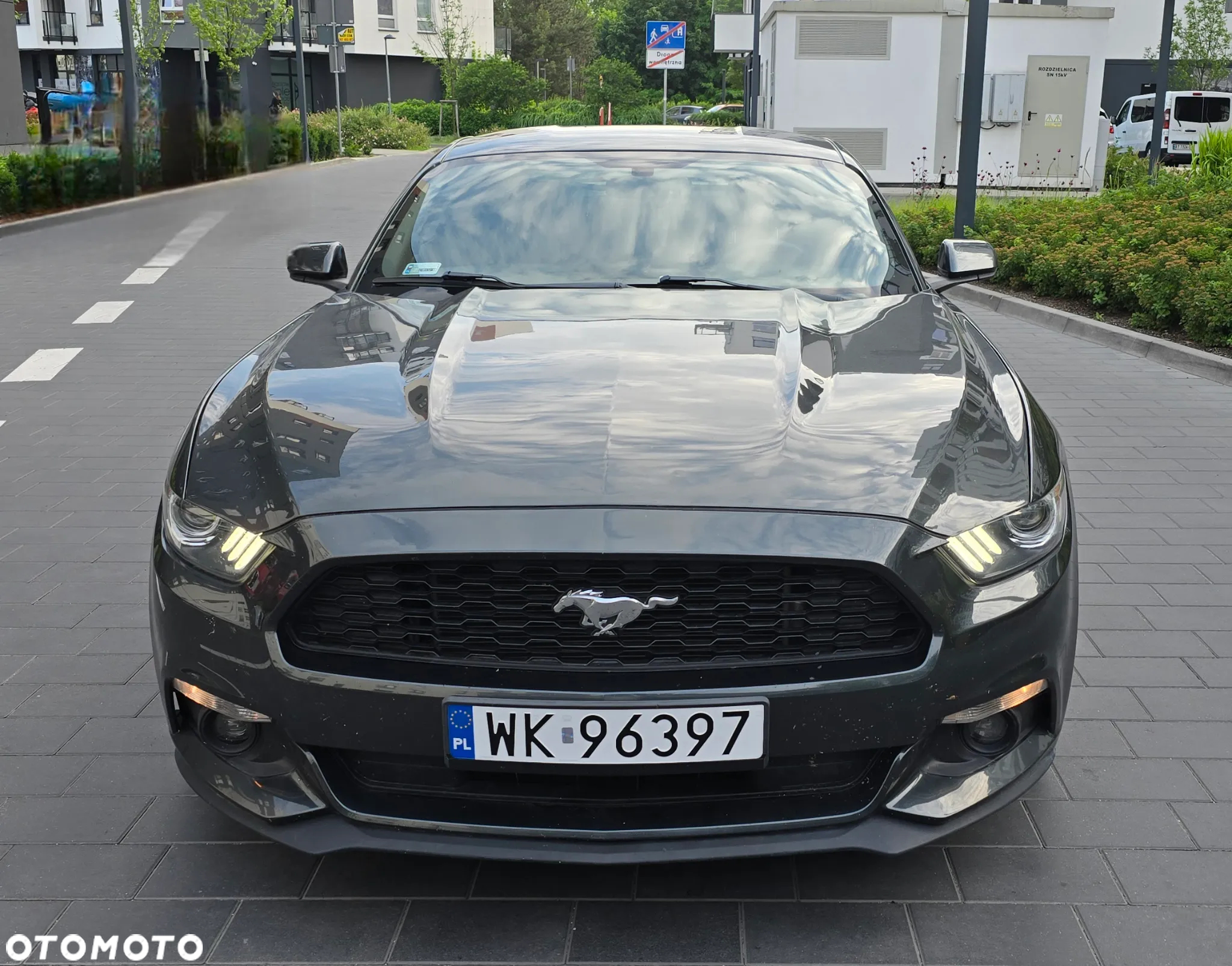 Ford Mustang - 2