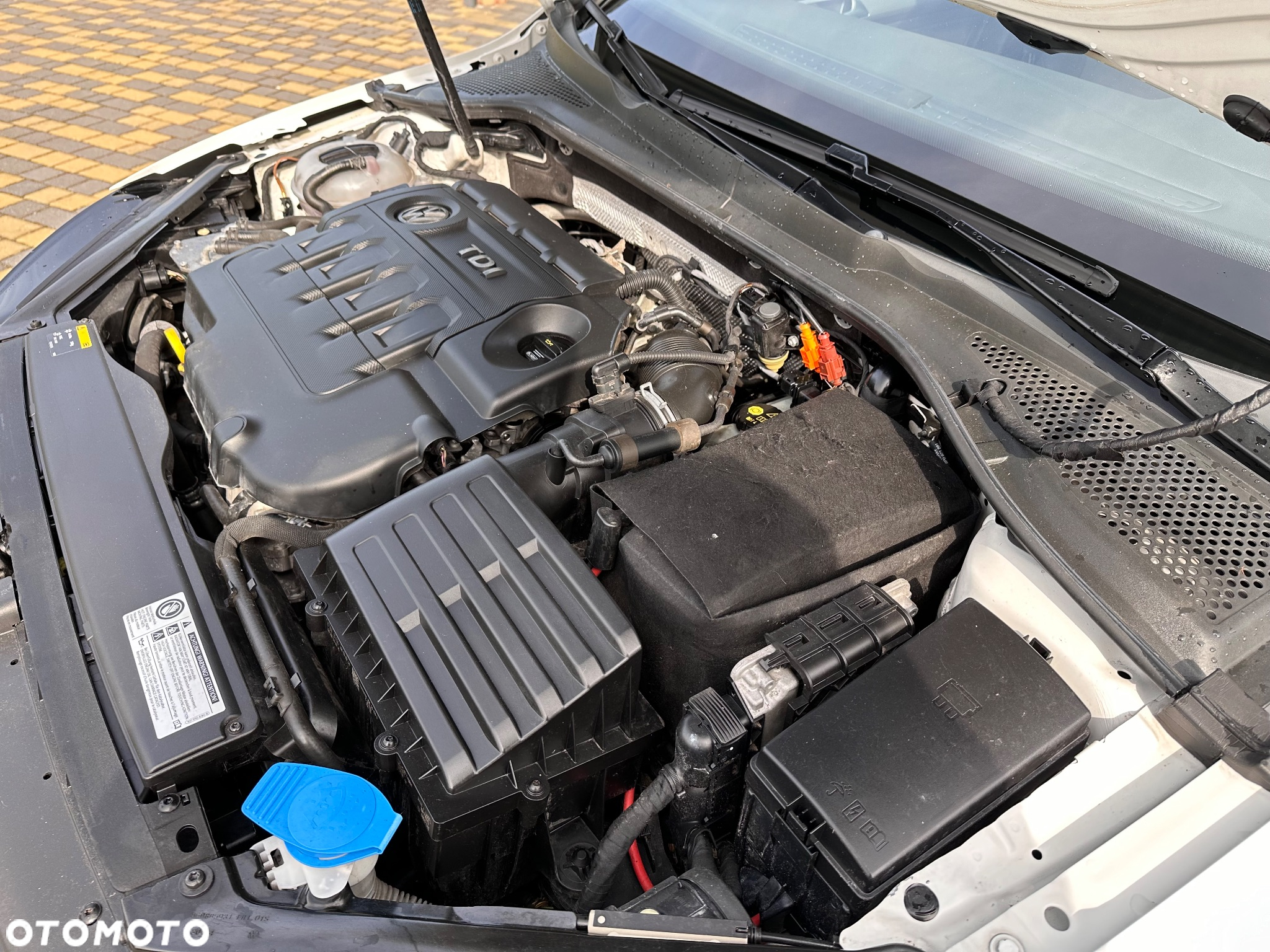 Volkswagen Golf - 23