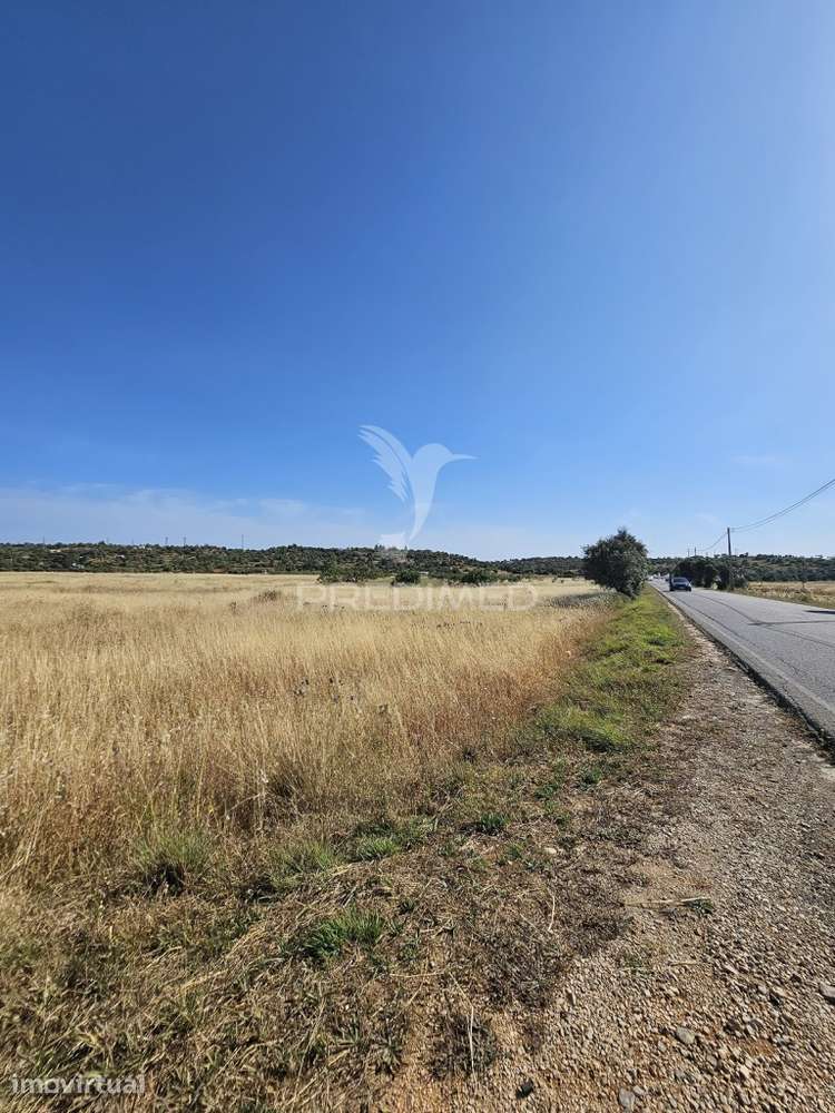 Terreno Rustico com 8980 m2 situado  em Tunes - Grande imagem: 2/8