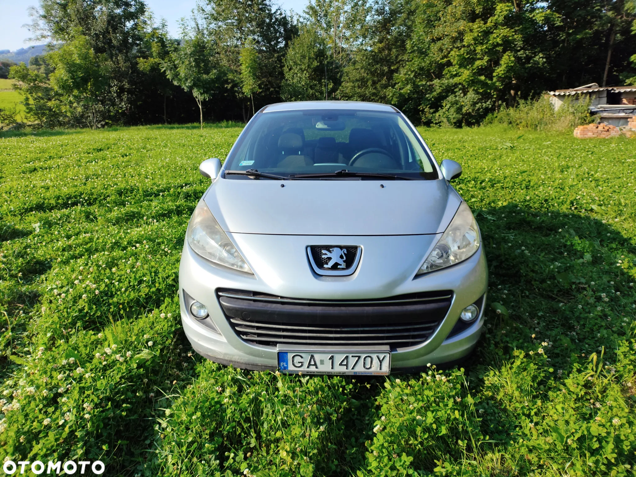 Peugeot 207 - 5