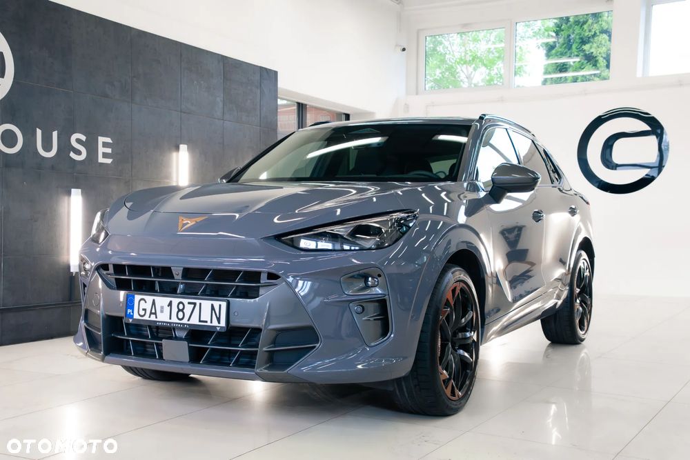 Cupra Terramar 2.0 TSI 4Drive VZ DSG - 4
