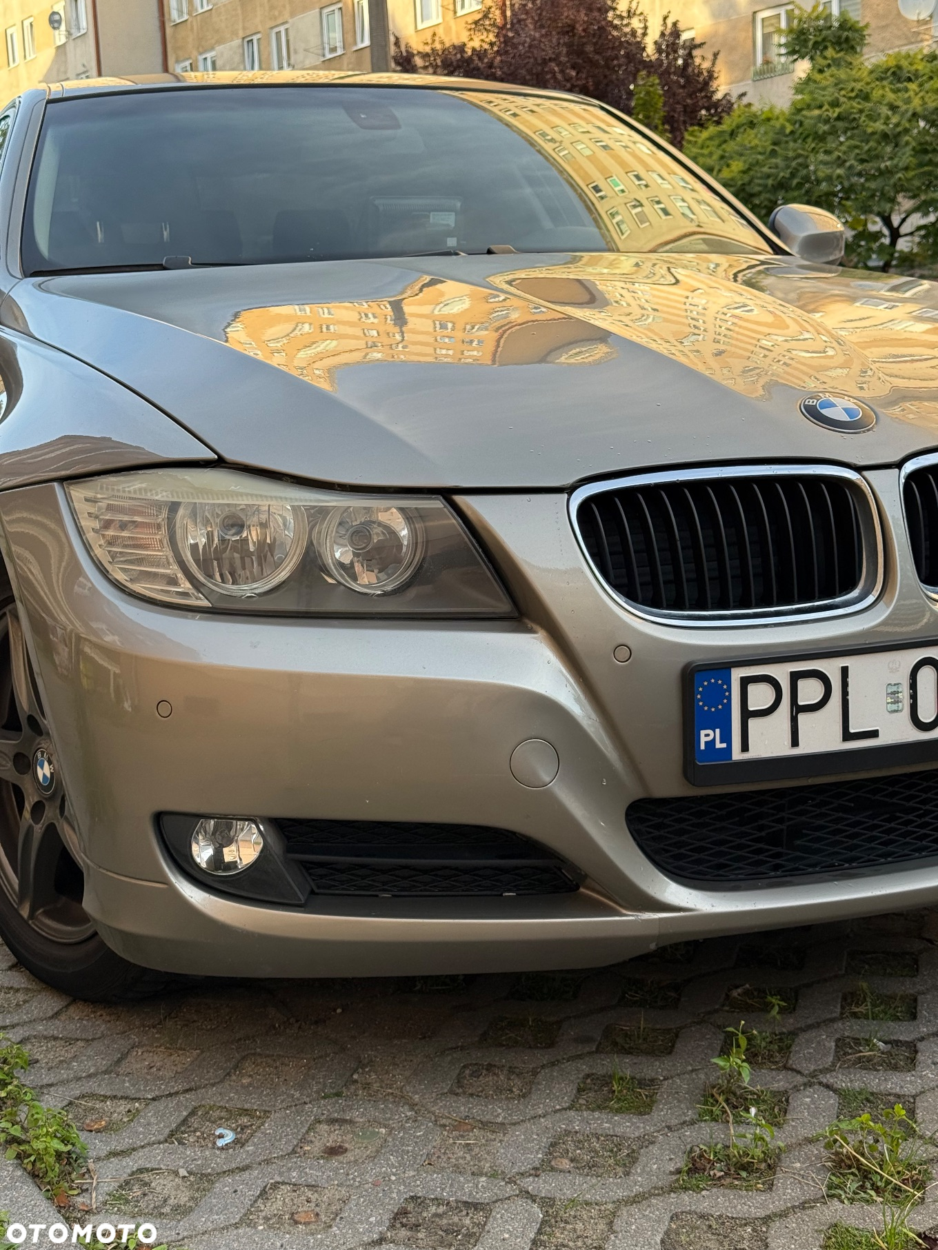BMW Seria 3 - 13