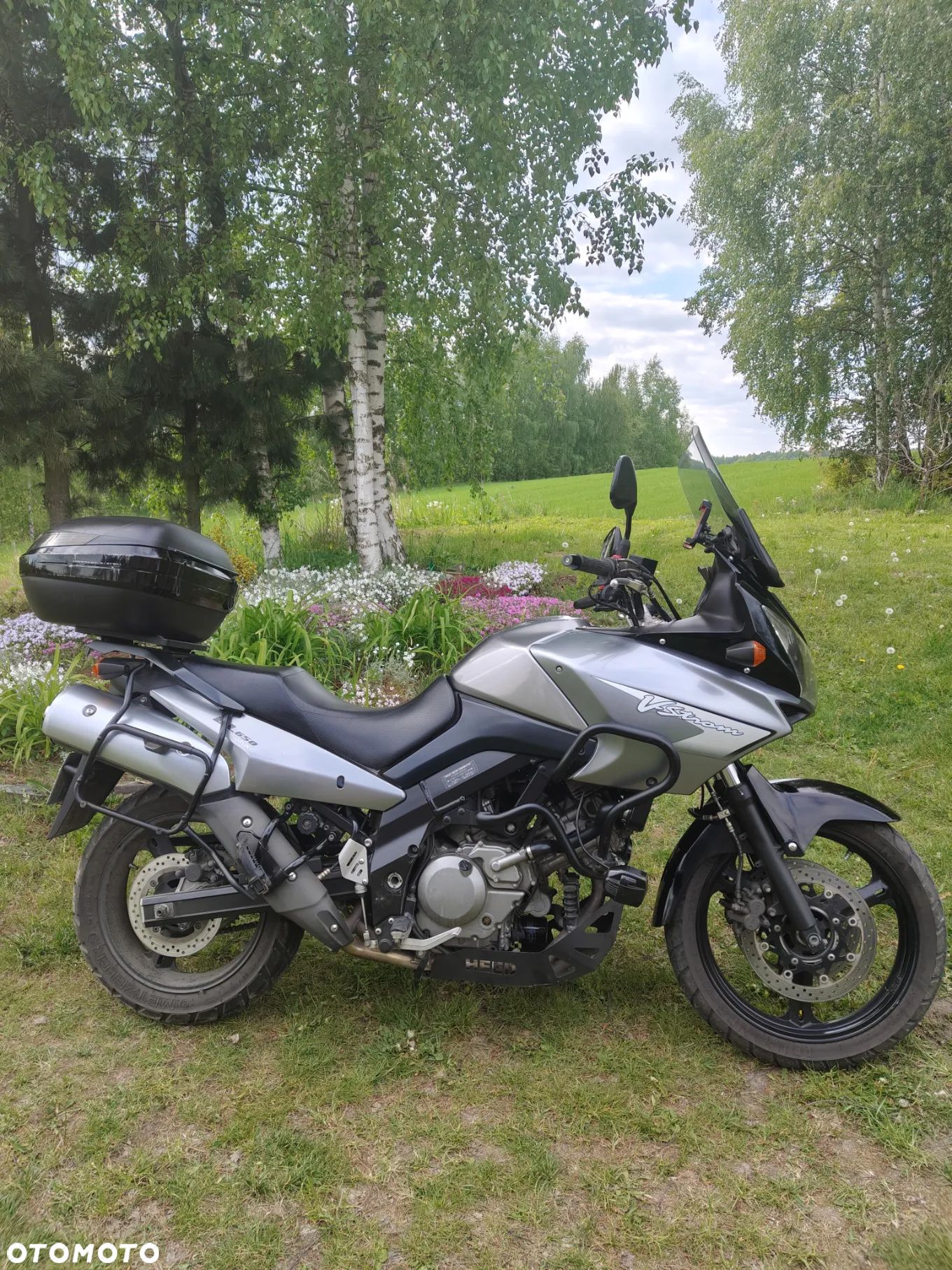 Suzuki V-STROM - 1