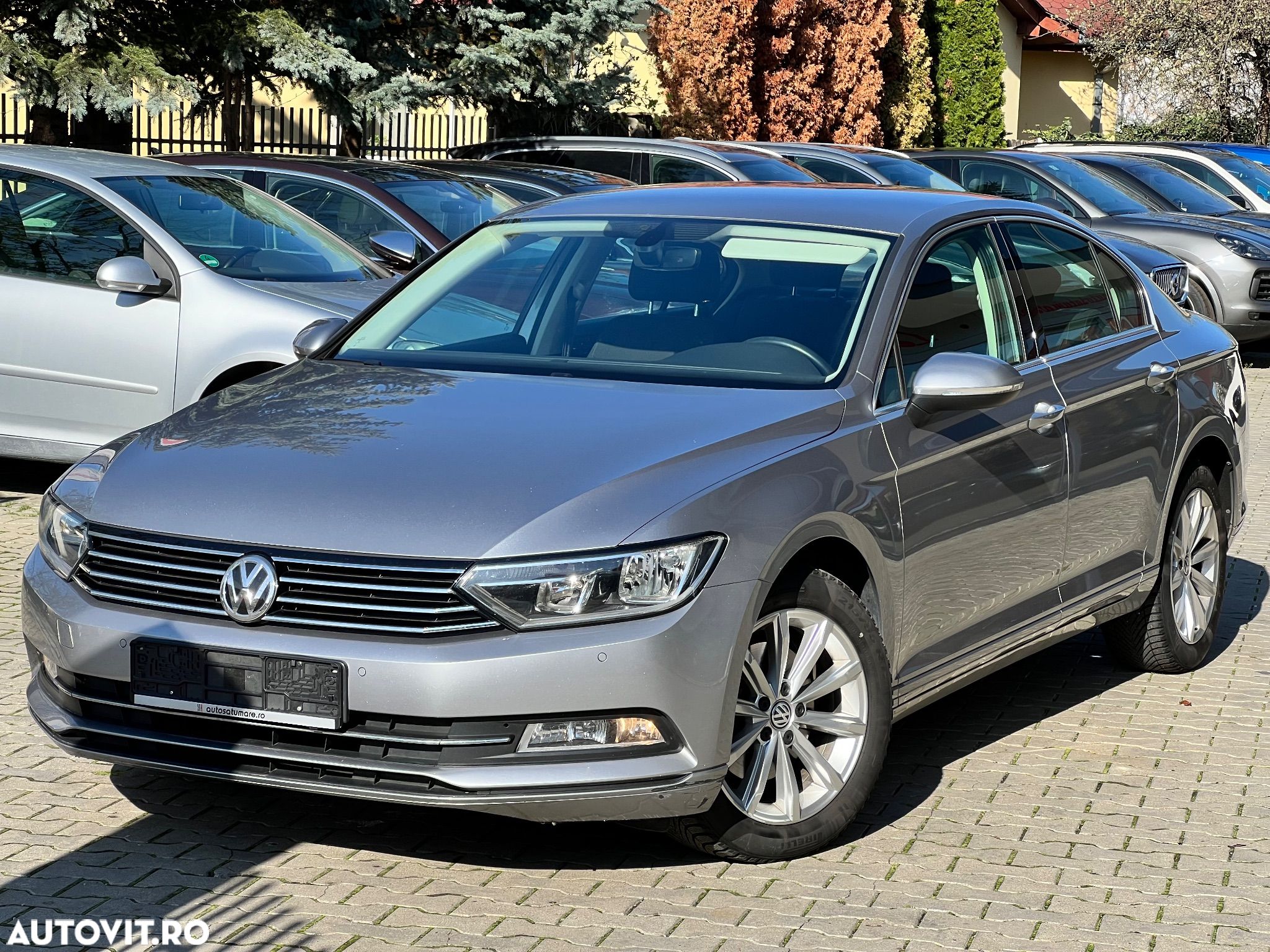 Volkswagen Passat - 1
