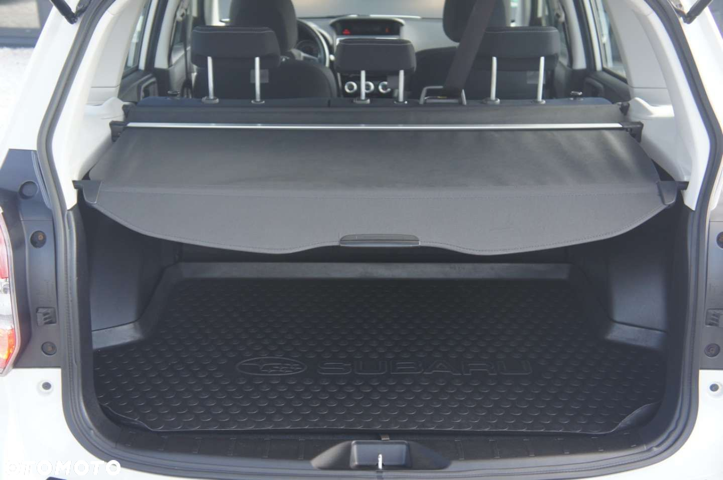 Subaru Forester - 19