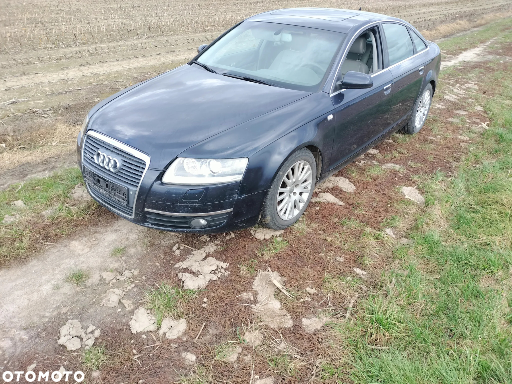 audi A6 C6  kod silnika BMK kod farby LZ5D - 5