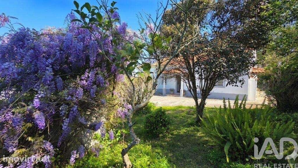 Casa de Campo T3 em Usseira de 150 m2 - Grande imagem: 3/40