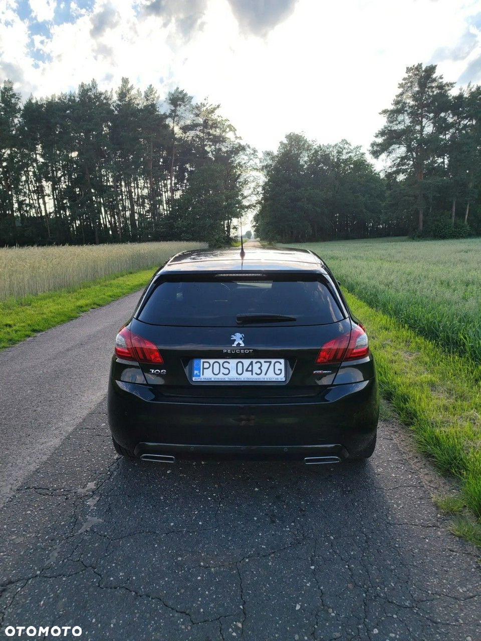 Peugeot 308 1.5 BlueHDi GT Pack S&S EAT8 - 6