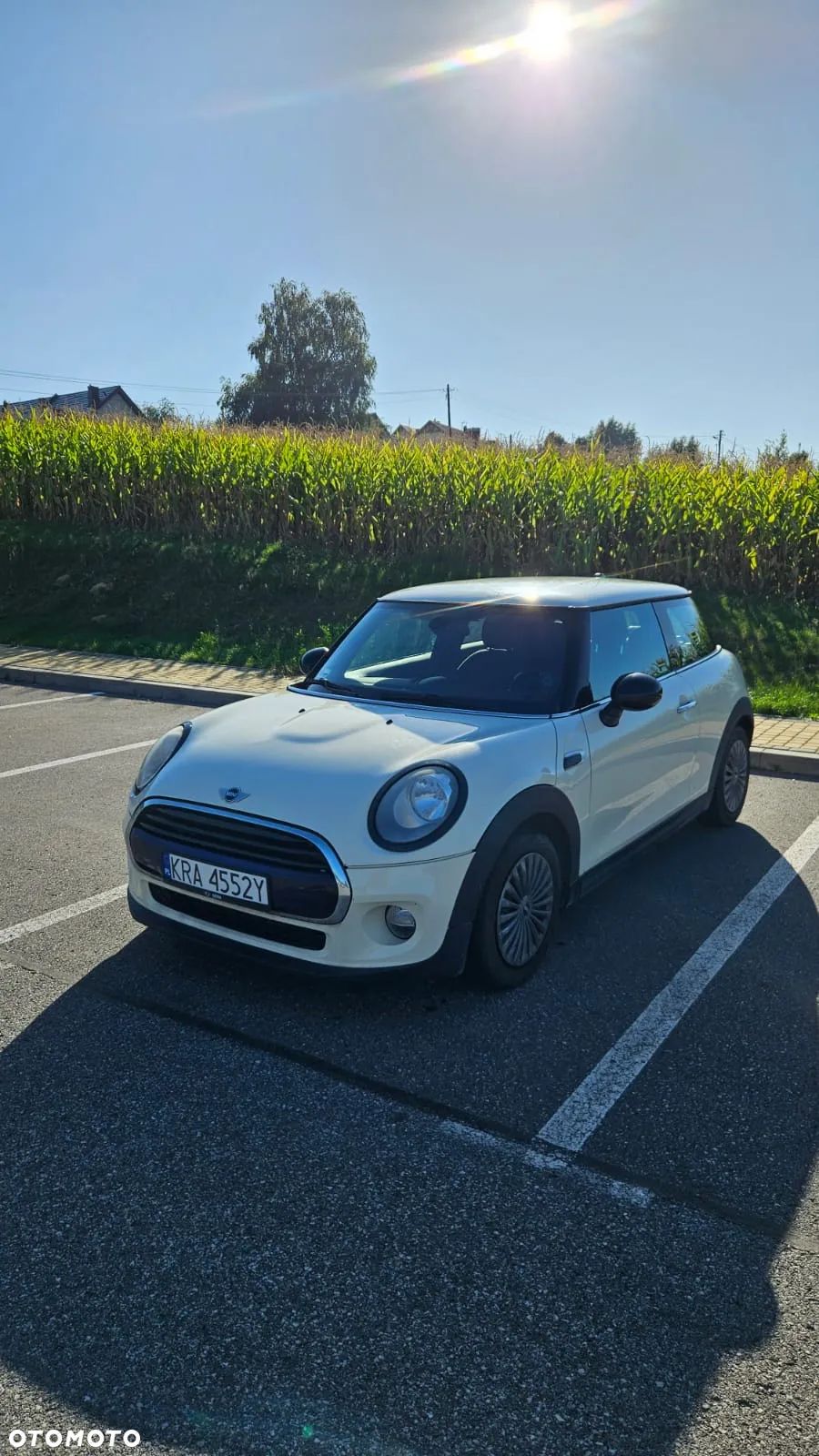 MINI ONE Standard - 1