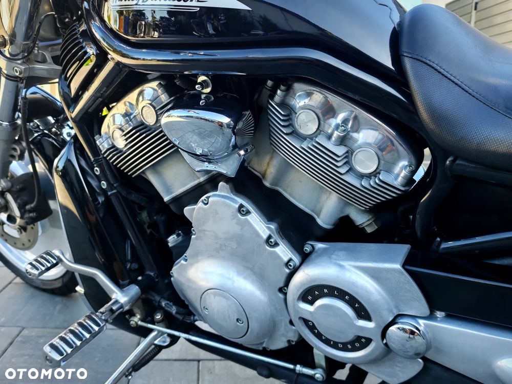 Harley-Davidson V-Rod Street Rod - 17