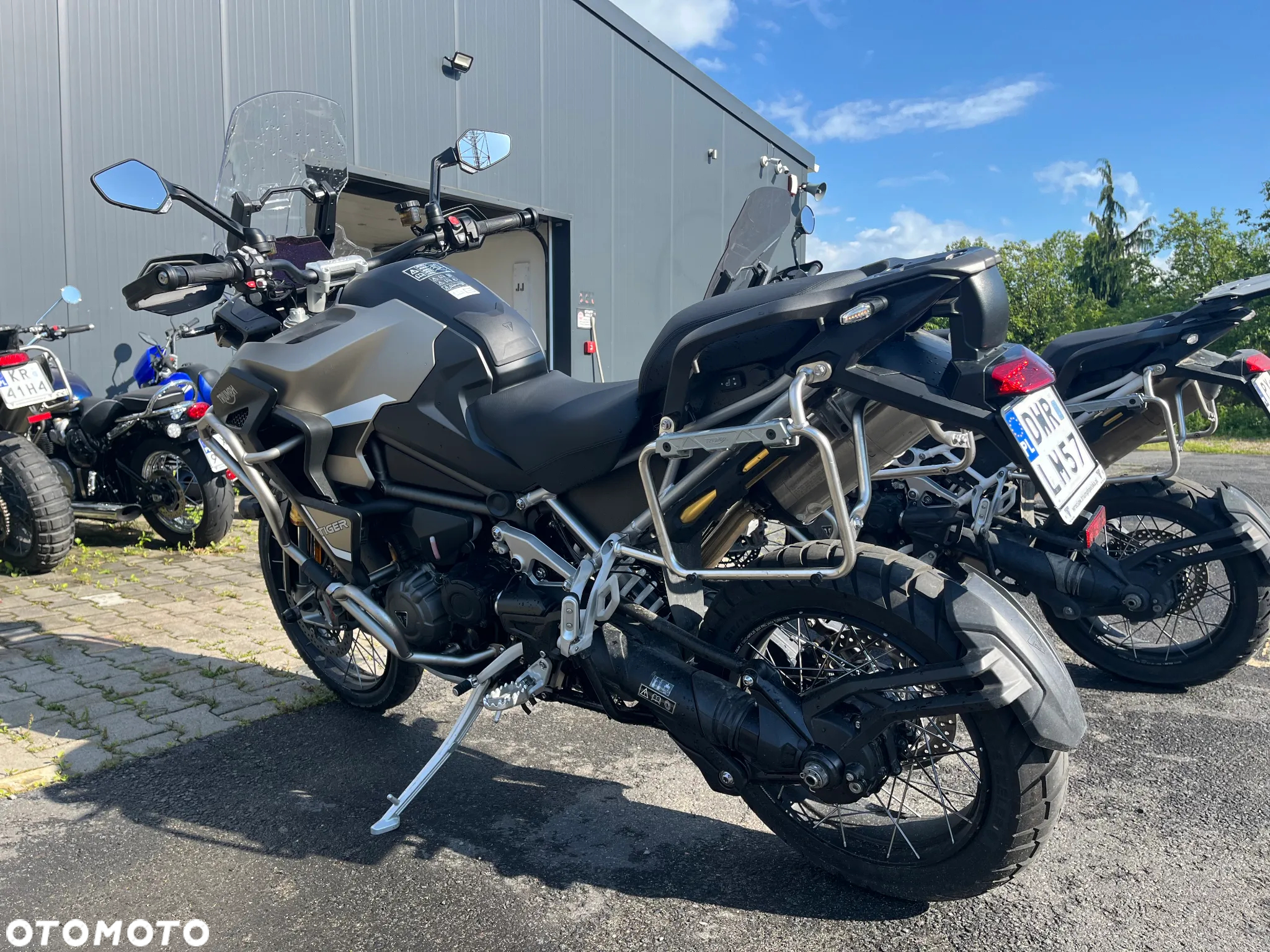 Triumph Tiger - 7