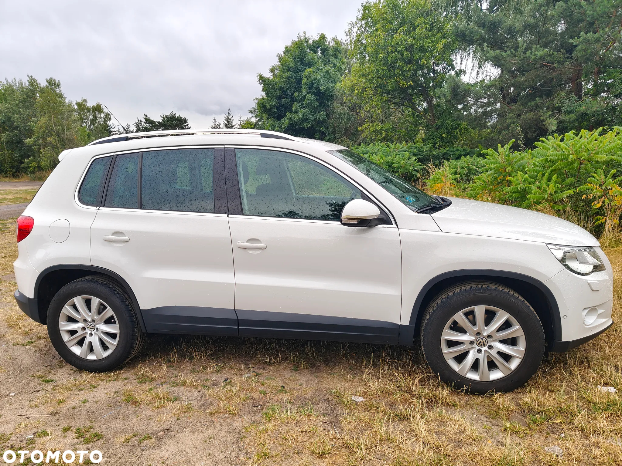 Volkswagen Tiguan - 15