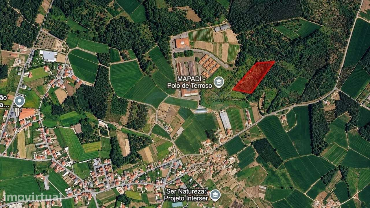 Bouça em Terroso com 4661 m2 - Grande imagem: 2/5