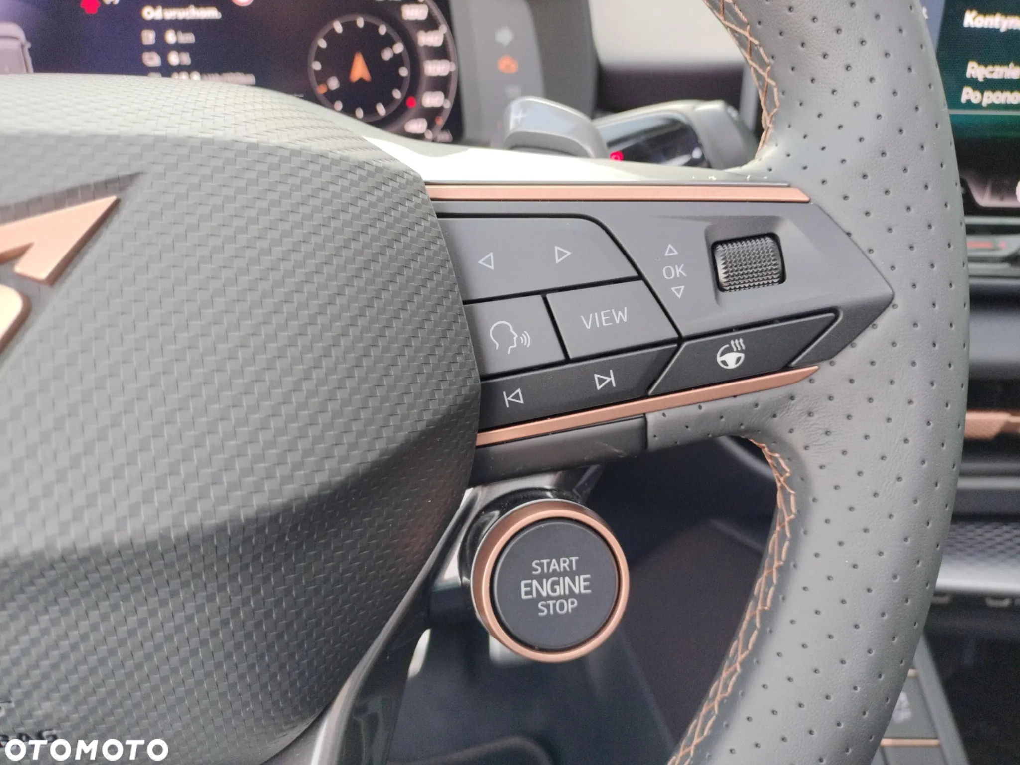 Cupra Terramar 2.0 TSI 4Drive VZ DSG - 25