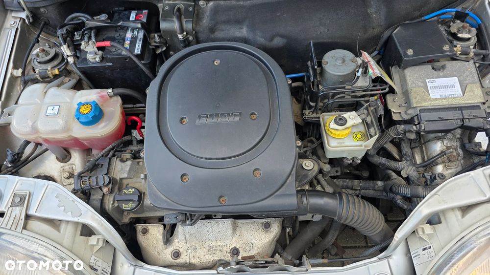 Fiat Seicento - 24