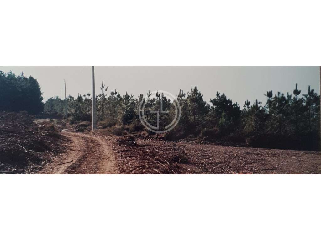 Terreno em Sabrosa, Vila Real - Grande imagem: 3/12