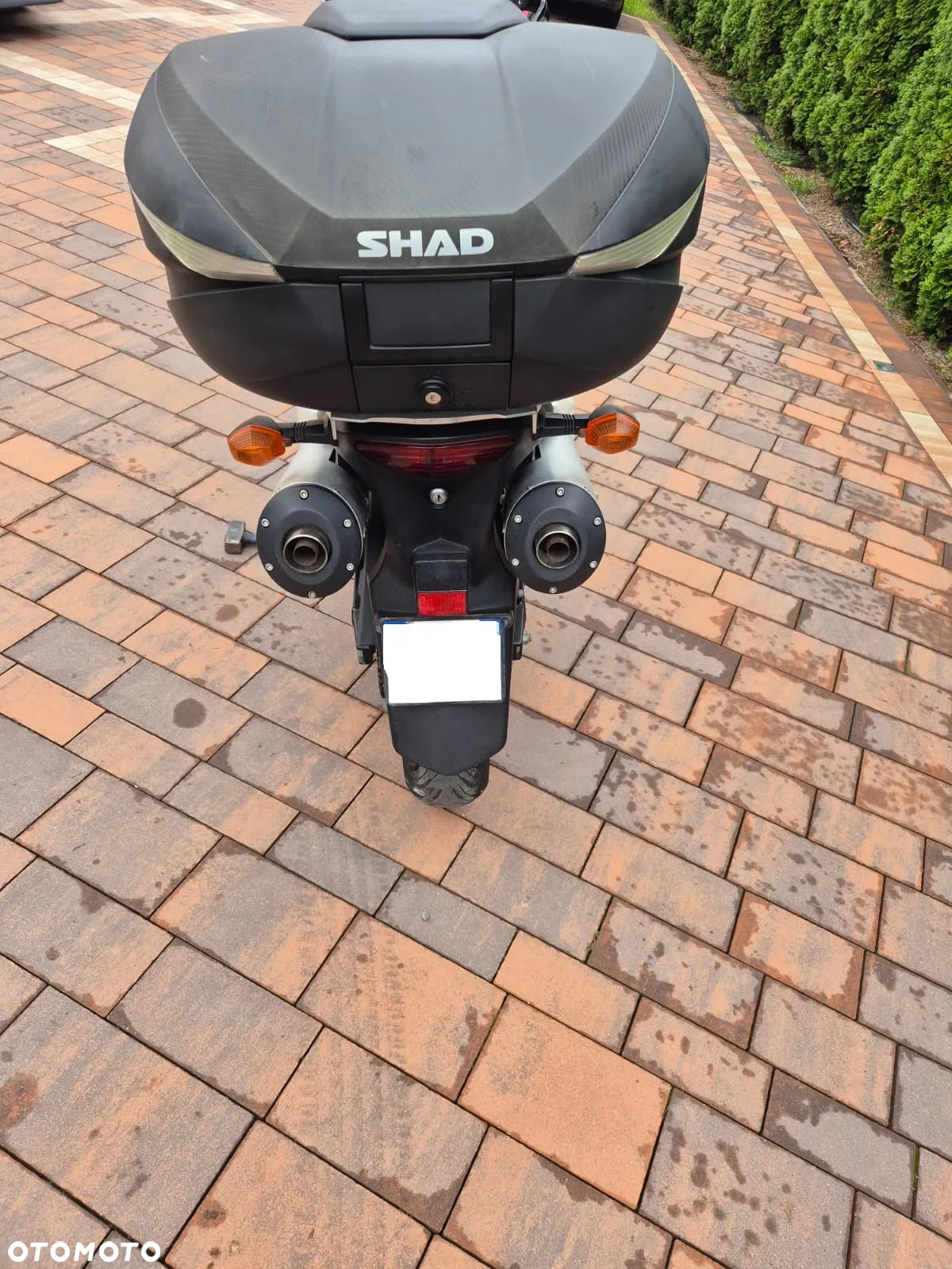 Suzuki V-STROM - 10