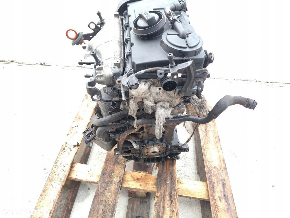 SILNIK BEZ OSPRZĘTU AUDI VW SEAT SKODA 2.0 TDI BKD ORYGINAŁ SPRAWNY ! - 8