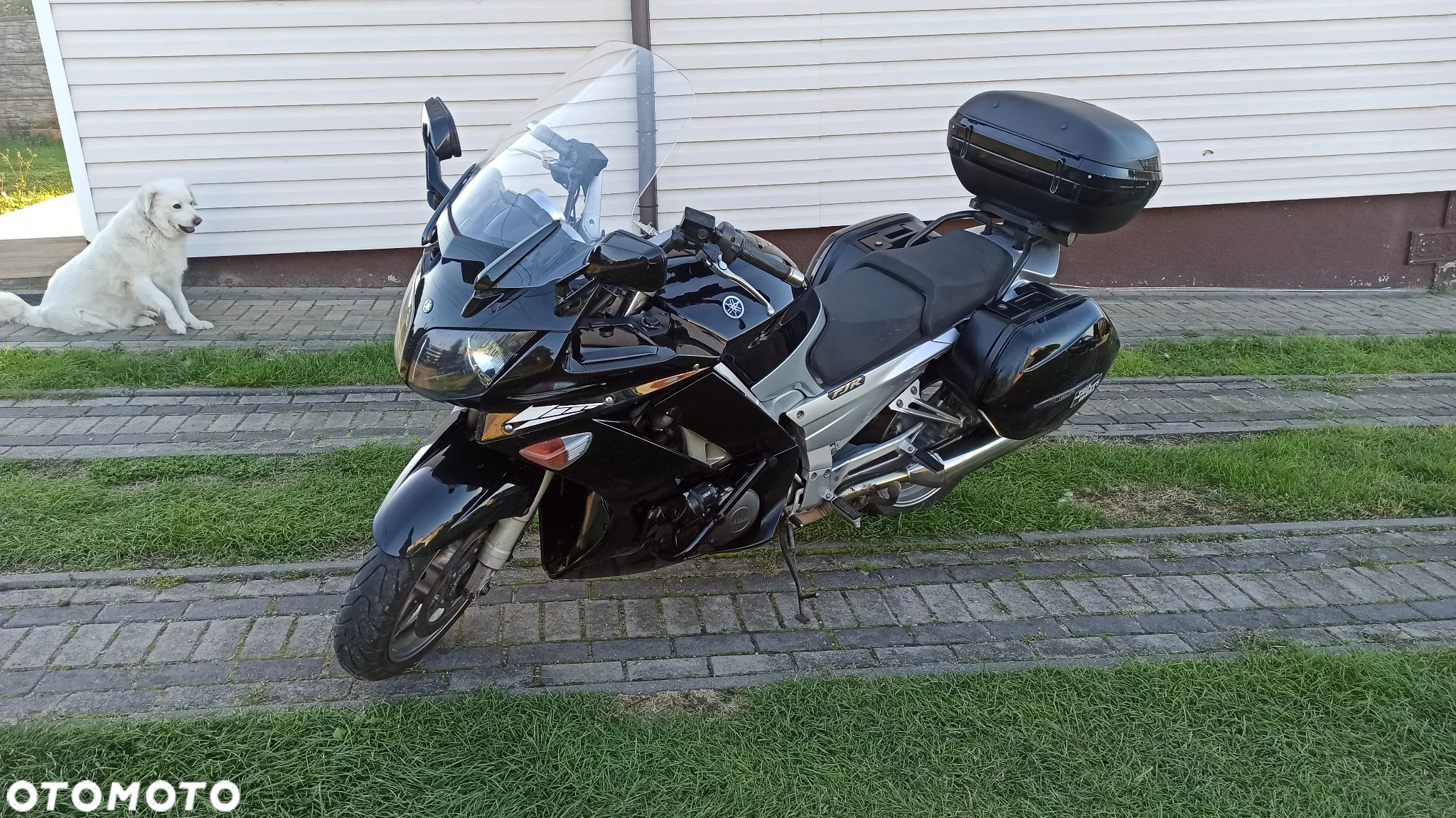 Yamaha FJR - 6