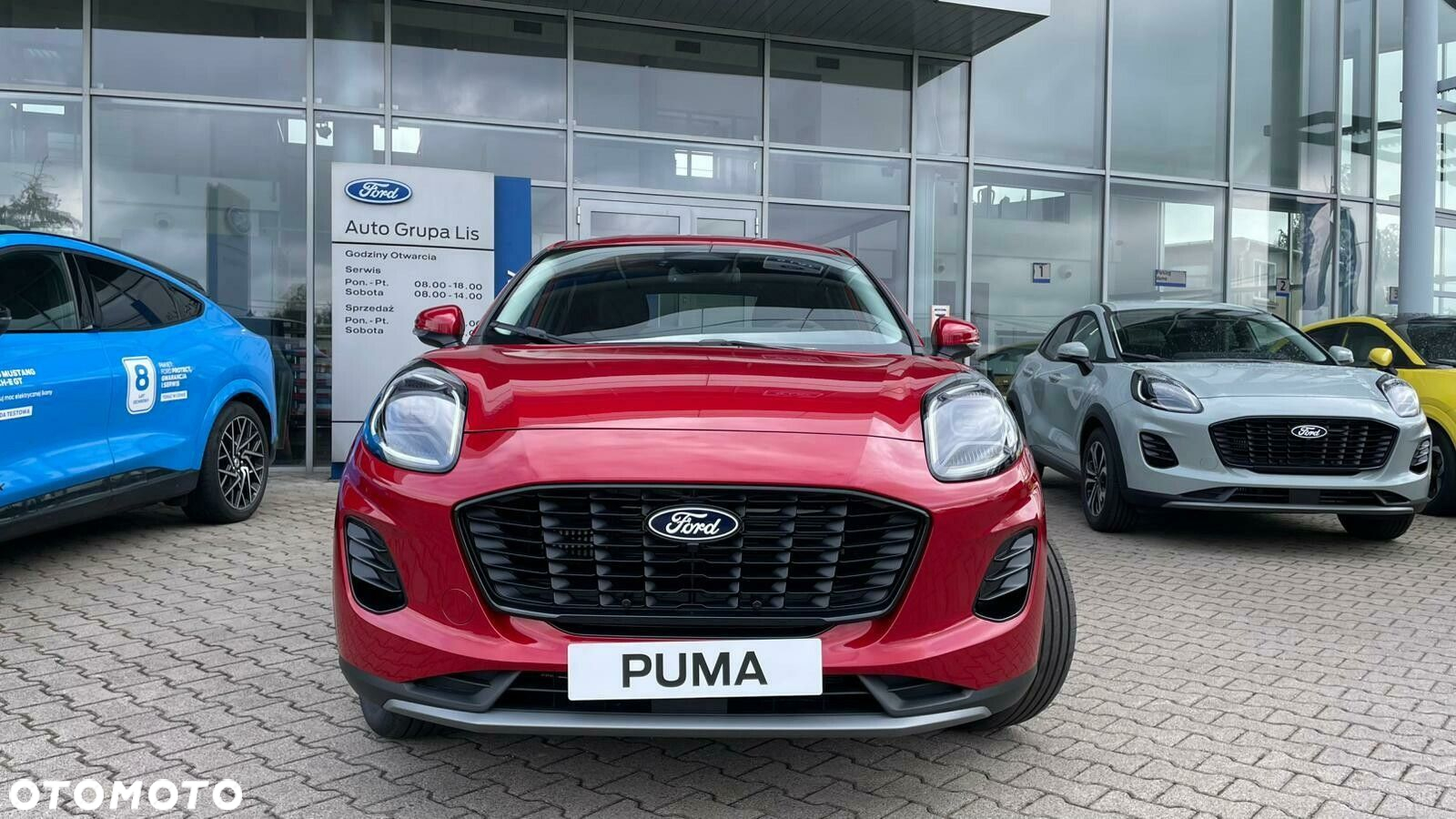 Ford Puma - 10