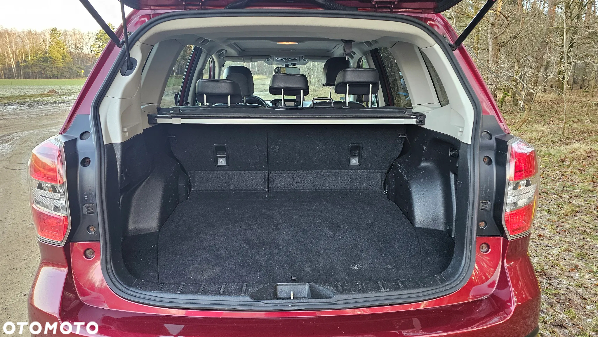 Subaru Forester - 10