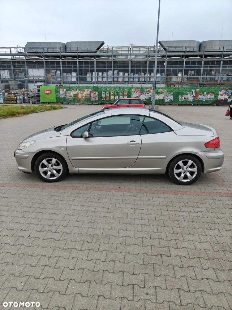 Peugeot 307 CC 2.0 Intense - 10