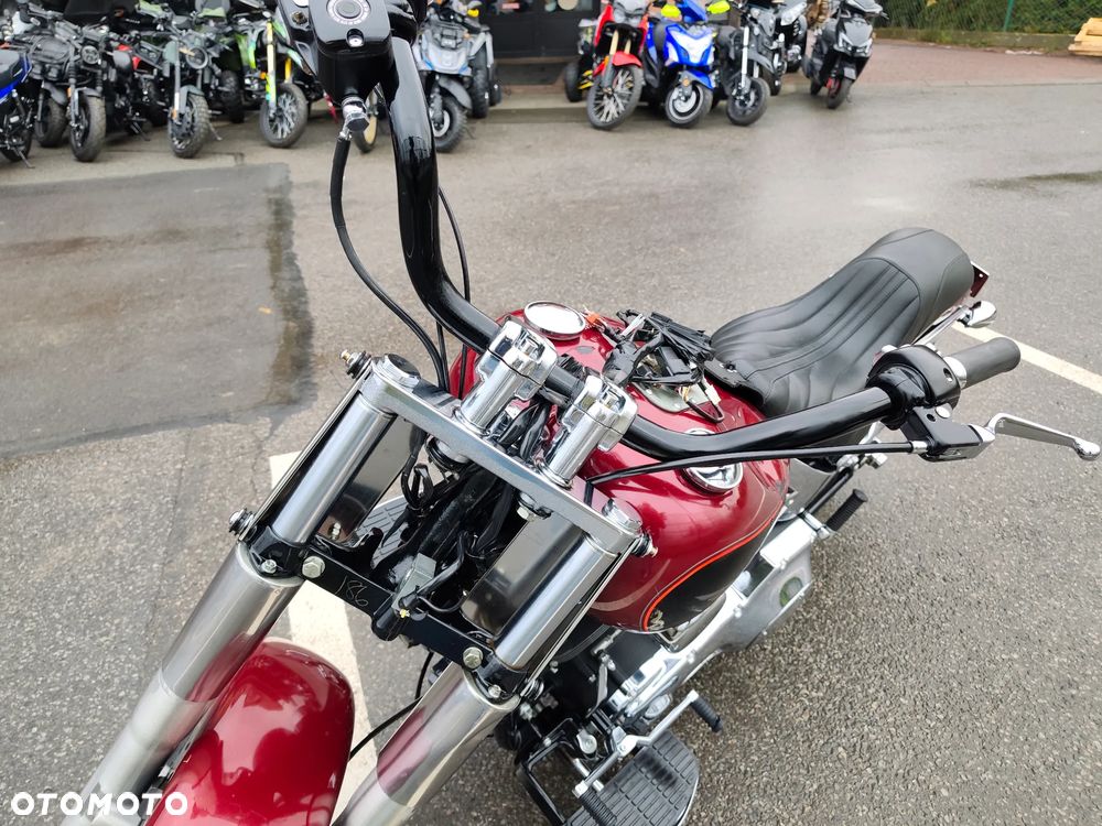 Harley-Davidson Softail Fat Boy - 29