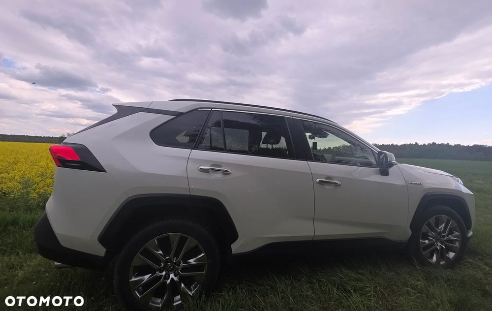 Toyota RAV4 2.5 Hybrid Executive 4x2 - 7