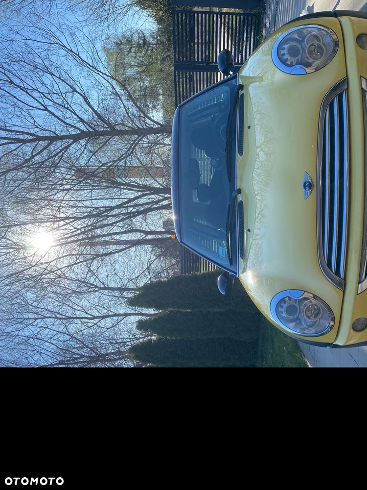 MINI Cooper chili - 15