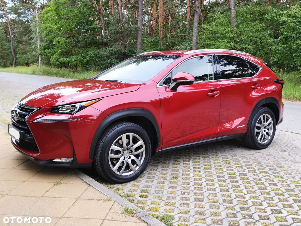 Lexus NX 300h Comfort AWD - 4