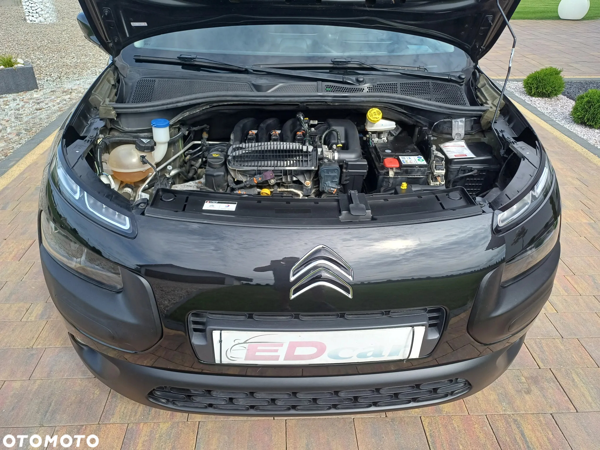 Citroën C4 Cactus 1.2 PureTech Shine - 26