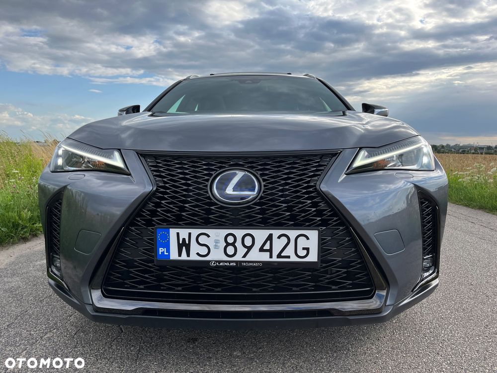 Lexus UX - 19
