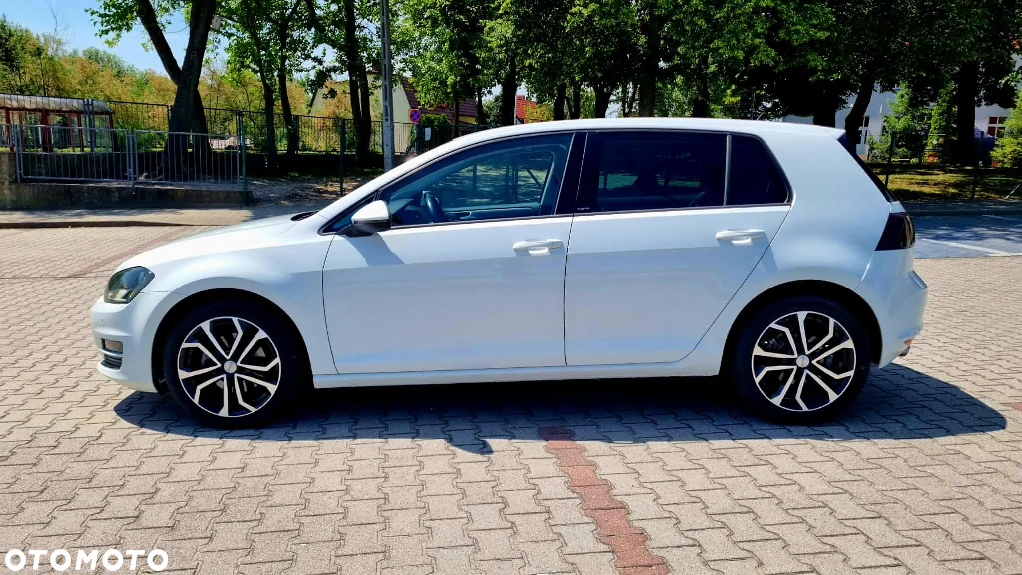 Volkswagen Golf 1.6 TDI BlueMotion Technology DSG Allstar - 3