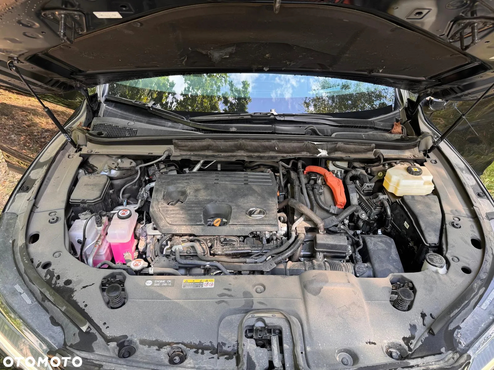Lexus RX 350h (hybrid) Business - 34