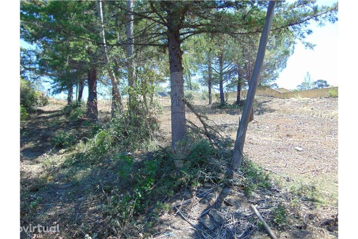 Terreno T0 para venda - Grande imagem: 5/5