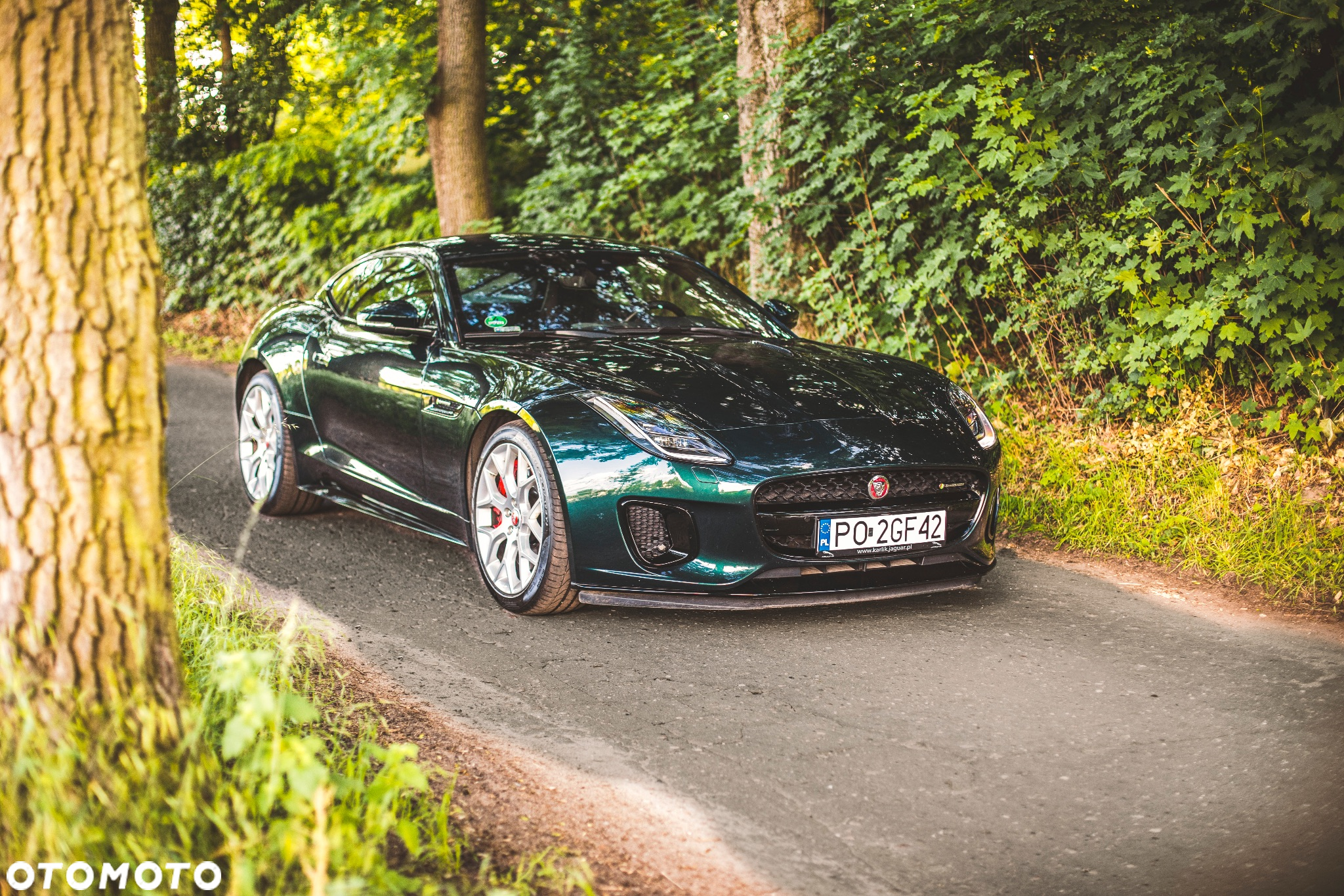 Jaguar F-Type 2.0 Turbo R-Dynamic - 5