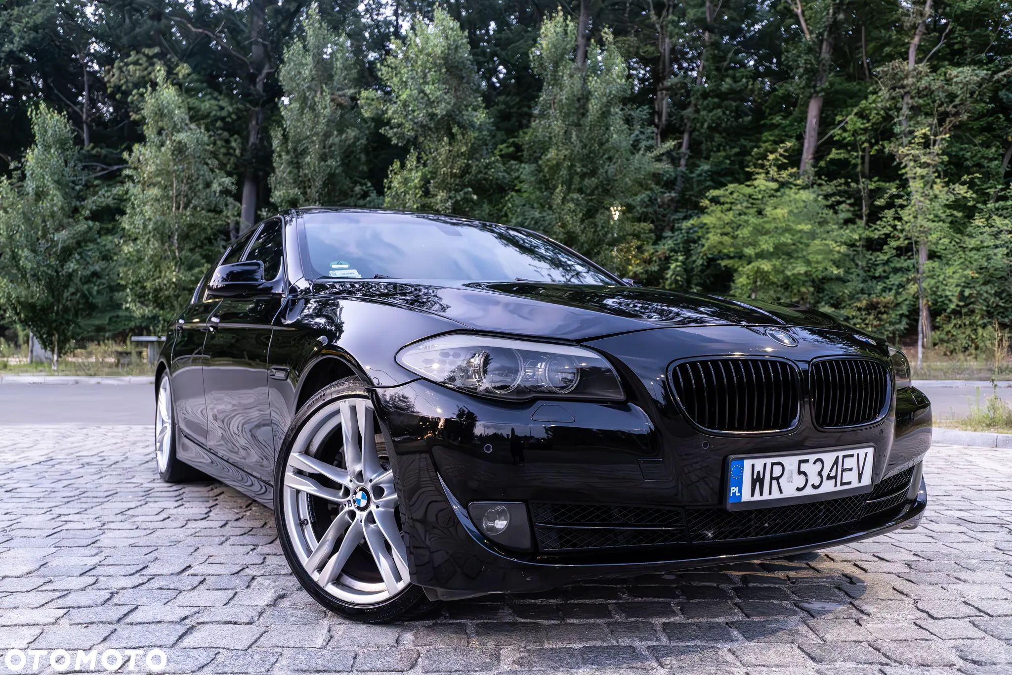 BMW Seria 5 - 1