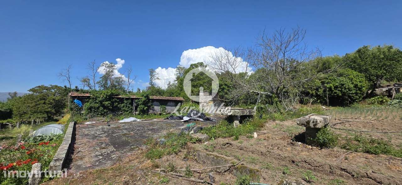 Quinta século XIX com vinhas e bosque em Castelo de Neiva, Viana do... - Grande imagem: 5/28