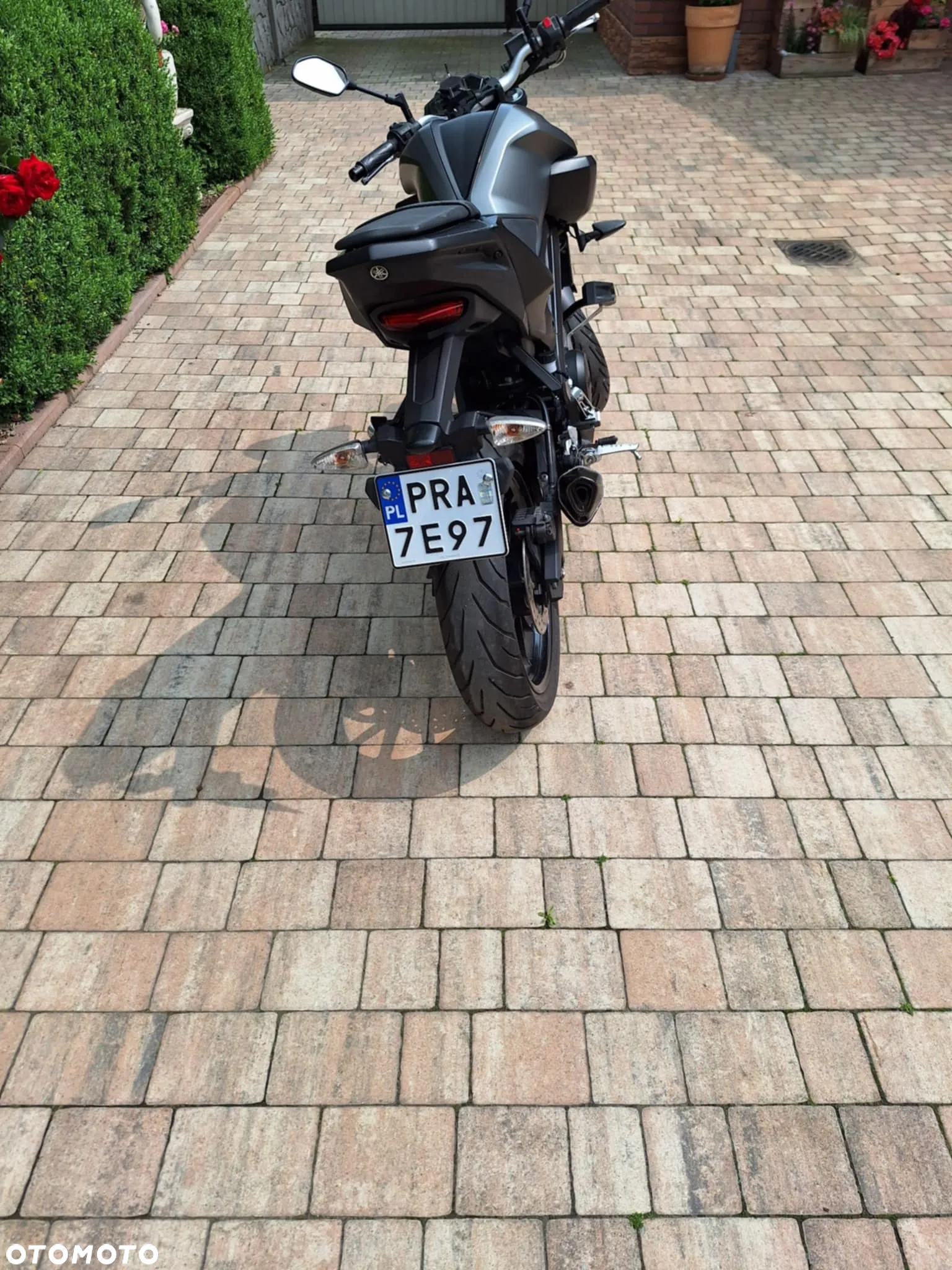 Yamaha MT - 9