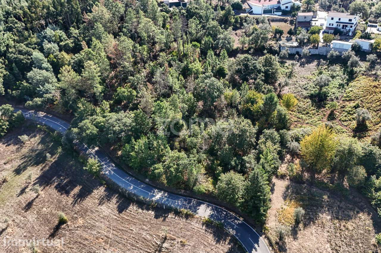 Terreno em Folques, Arganil - Grande imagem: 5/17