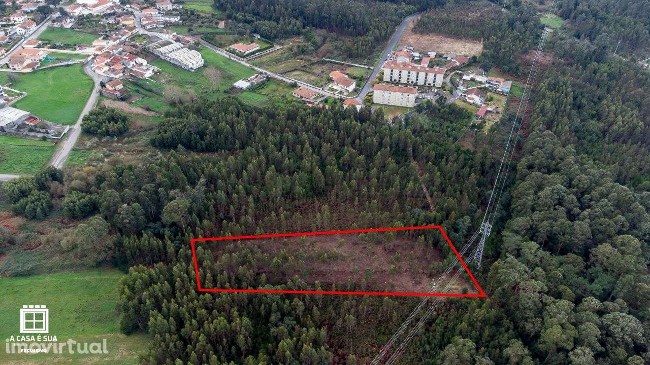 Terreno rústico na Paredinha em Rio Meão - Exclusivo - Grande imagem: 3/9