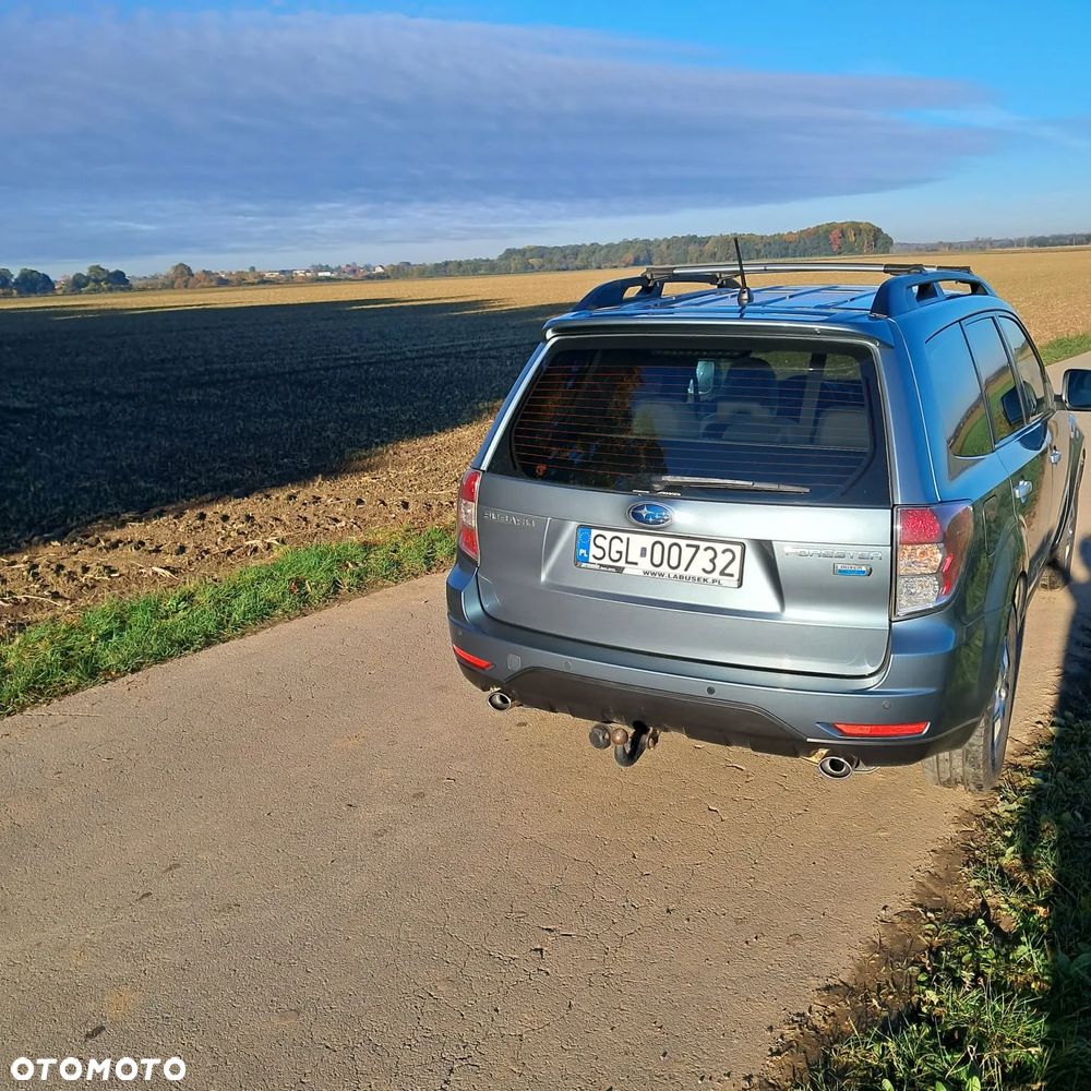 Subaru Forester - 15