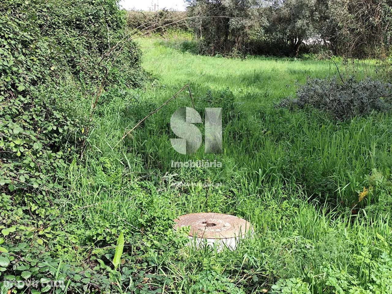 Terreno em Mealhada - Grande imagem: 4/11