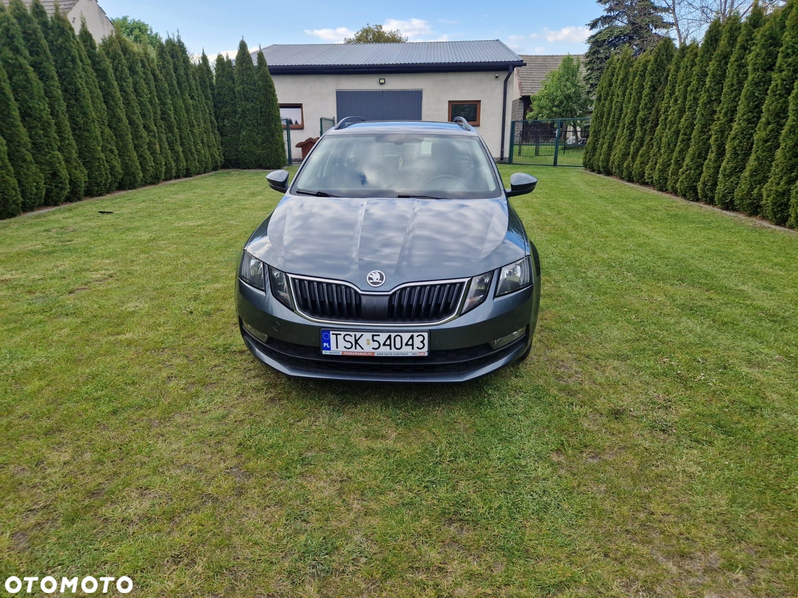 Skoda Octavia - 2