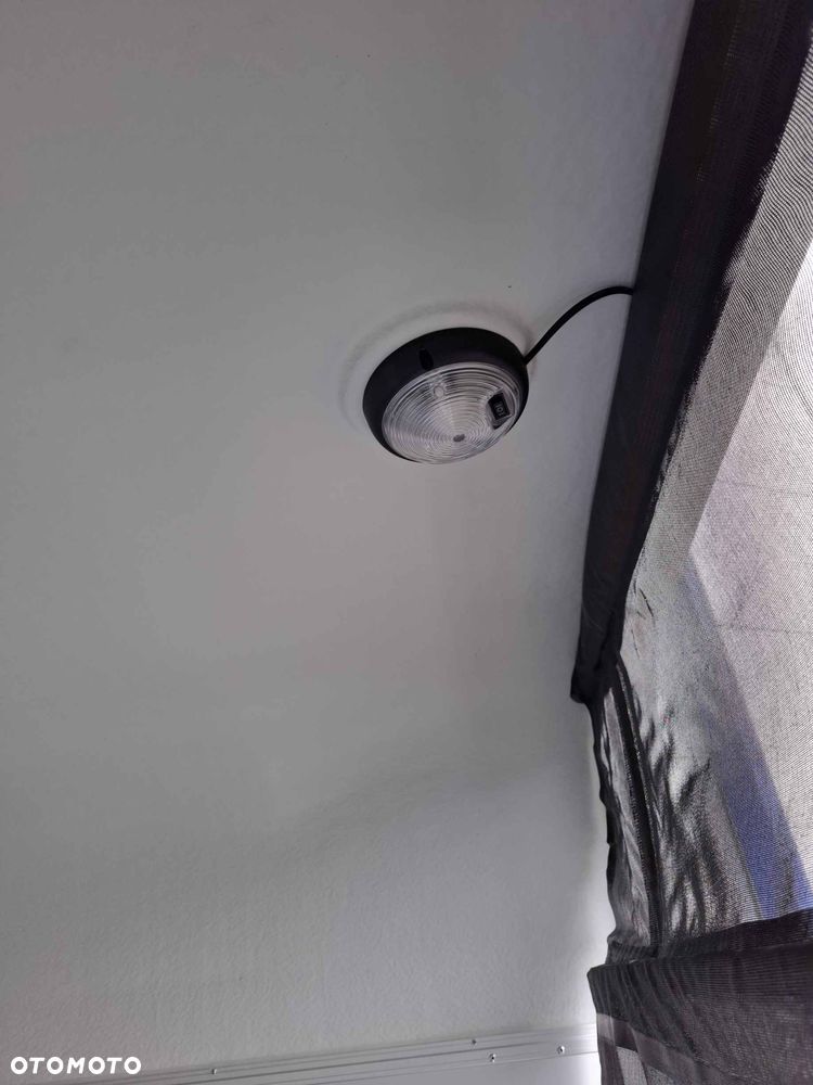 Blyss Cheval Liberté Gold III - 14