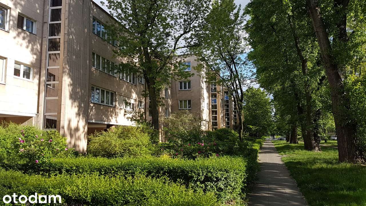 Piękna, jasna kawalerka przy parku | 12 min od metra | BEZPOŚREDNIO