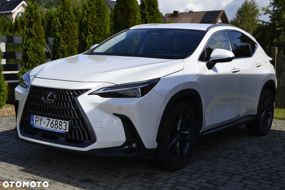 Lexus NX 350h Business AWD - 2
