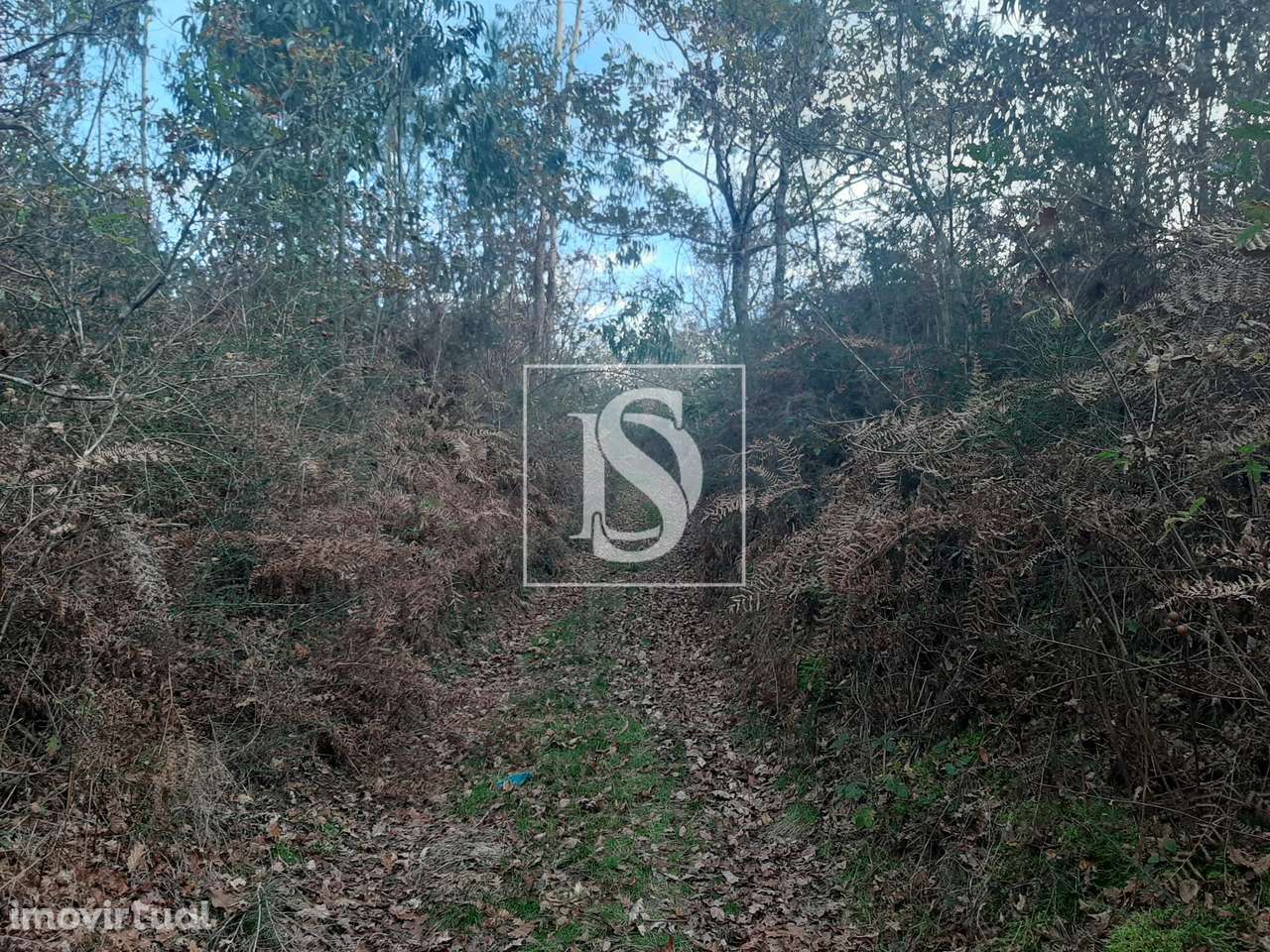 Terreno  Venda em Vieira do Minho,Vieira do Minho - Grande imagem: 3/15