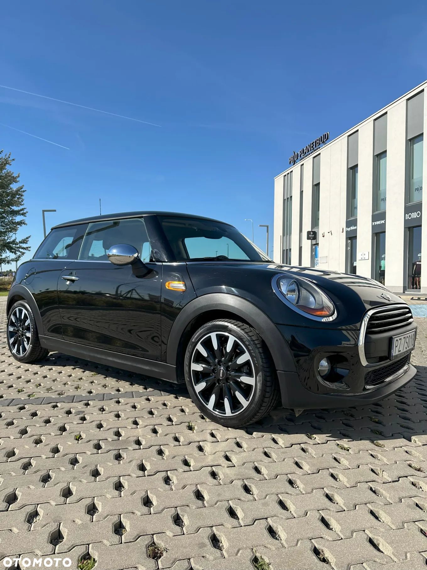 MINI ONE Standard - 1